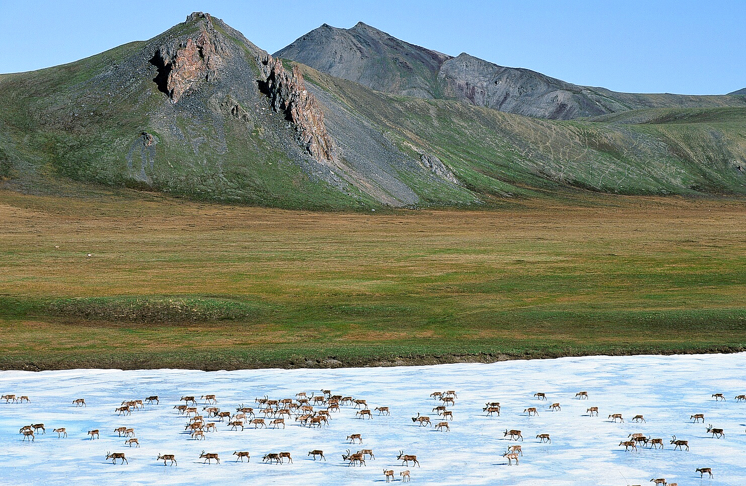 Memories in motion—why we run for the Arctic Refuge - Northern Alaska ...
